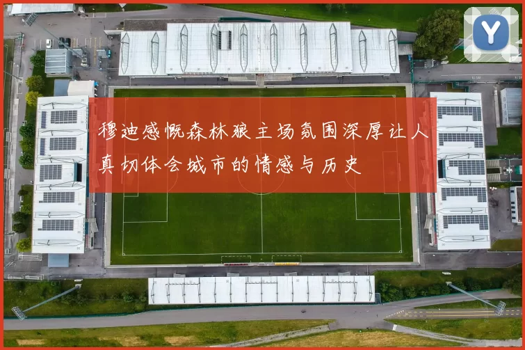 穆迪感慨森林狼主场氛围深厚让人真切体会城市的情感与历史